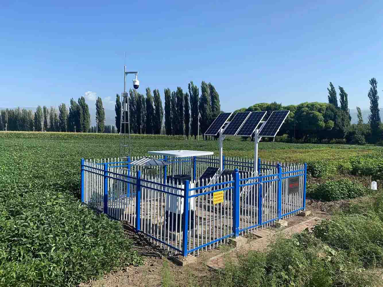 虫情信息自动采集系统 - 设备使用示范图