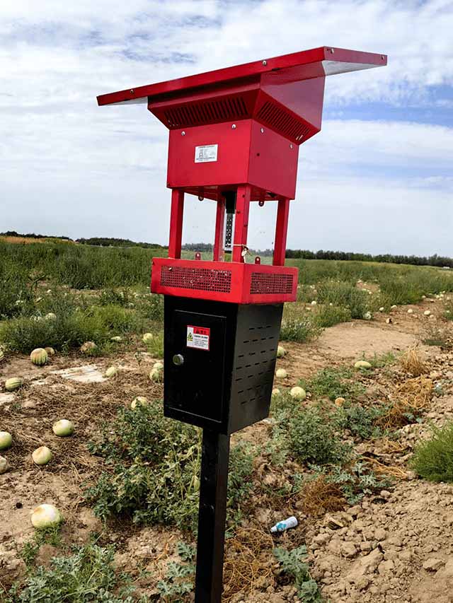 这是太阳能风吸式杀虫灯的图片