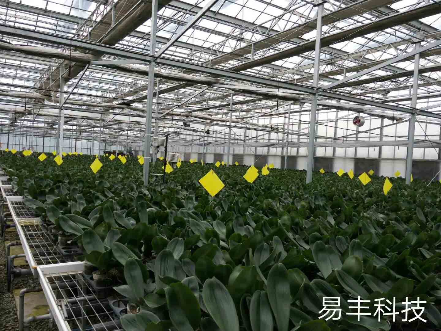 应用案例29：设备在实际应用中的效果展示29