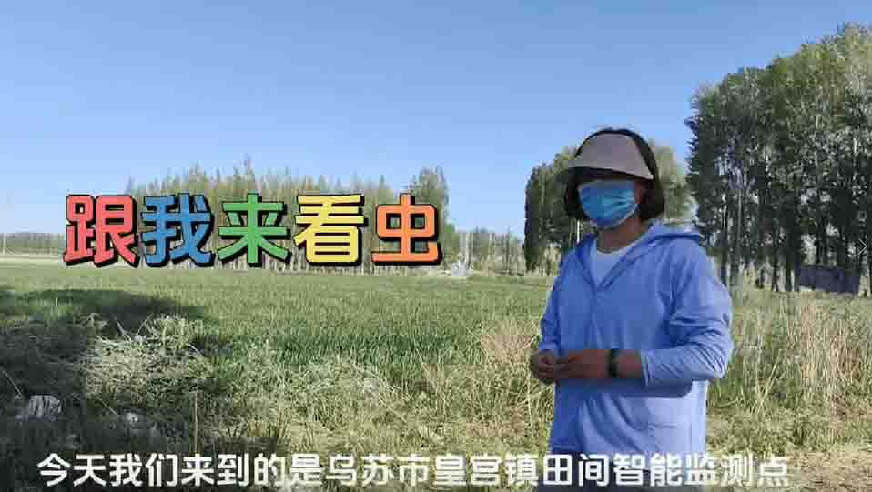 跟我来看虫