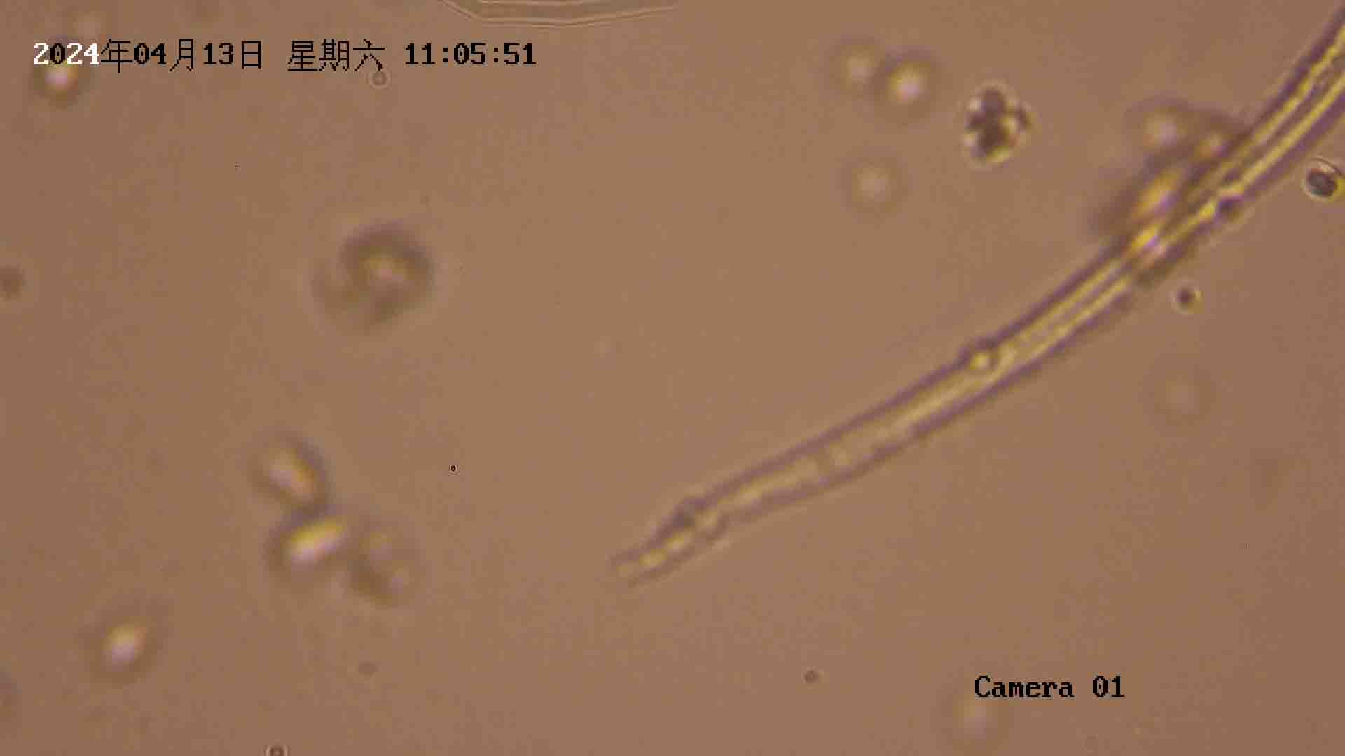 孢子信息自动捕捉培养设备图2